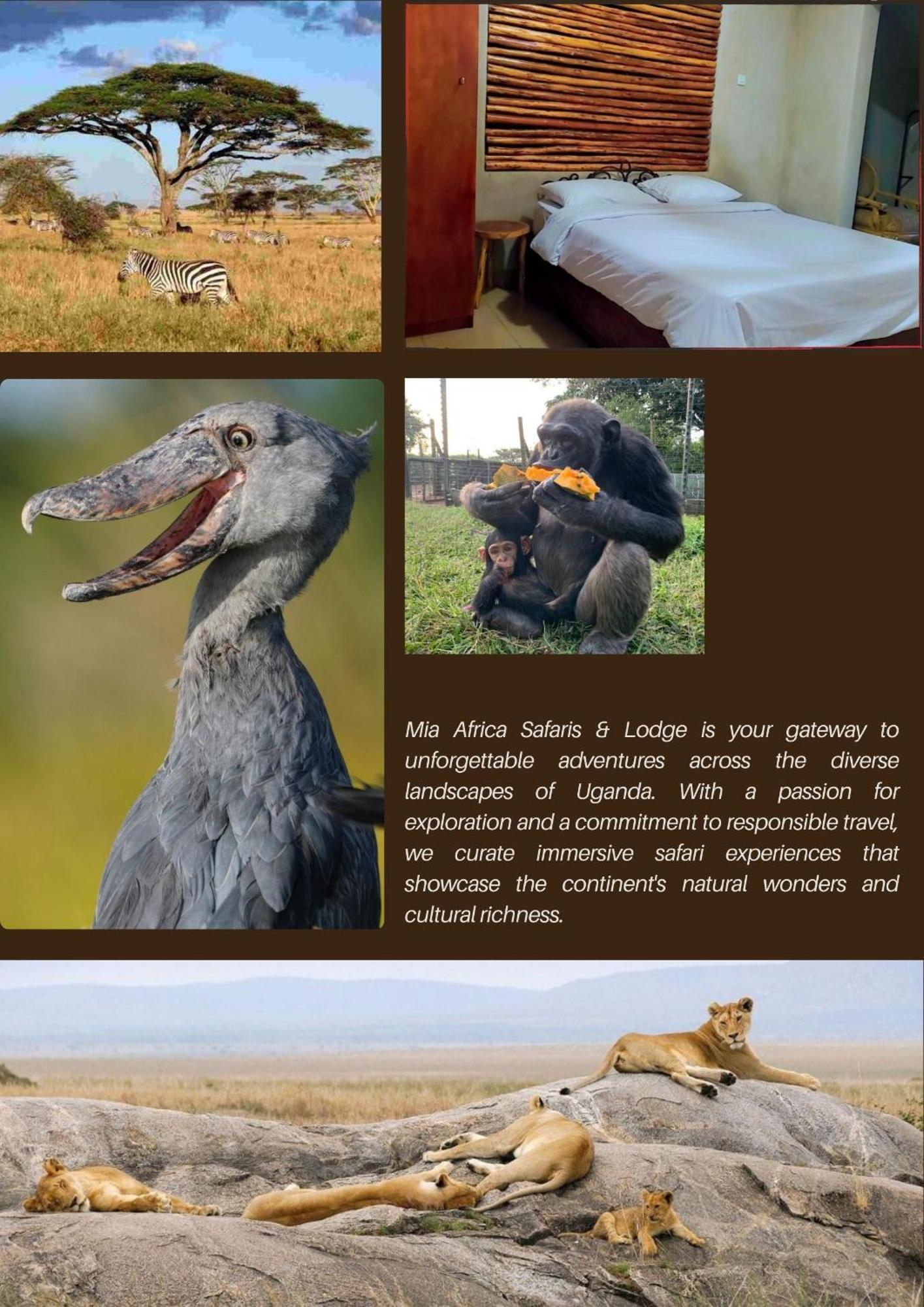 Mia Safari Lodge And Restaurant Entebbe Ngoại thất bức ảnh